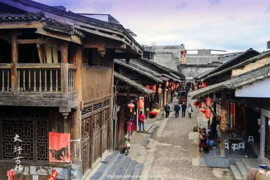动物帮帮忙保卫家园